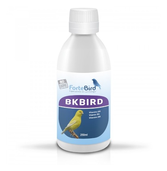 BKBird Fortebird