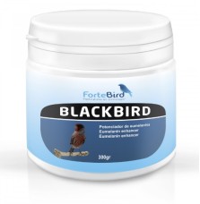 BlackBird Fortebird