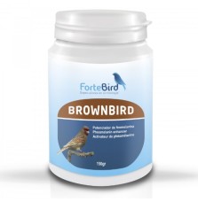 BrownBird Fortebird