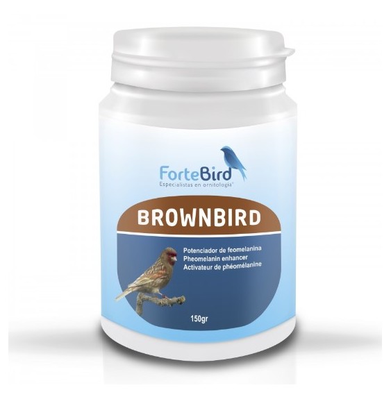 BrownBird Fortebird