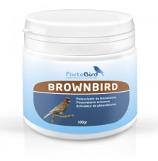 BrownBird Fortebird