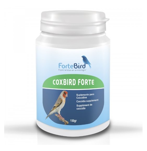 Coxbird Forte Fortebird