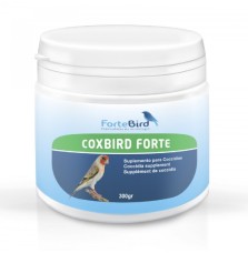 Coxbird Forte Fortebird