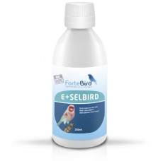 E + Selbird Fortebird