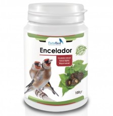 Encelador Fortebird (Ortiga + Maca Negra)