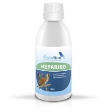 Hepabird Fortebird