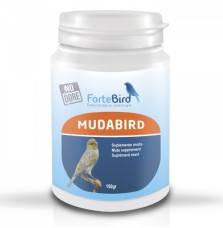 Mudabird Fortebird