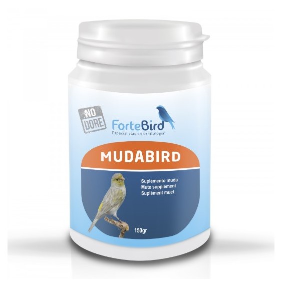 Mudabird Fortebird