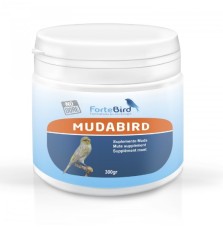 Mudabird Fortebird