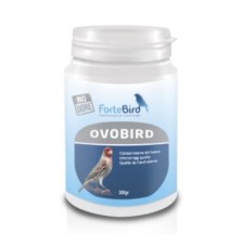 Ovobird Fortebird