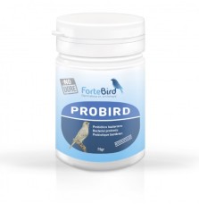 Probird Fortebird