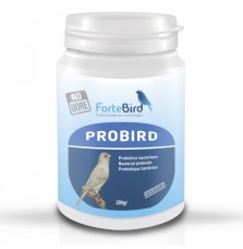 Probird Fortebird