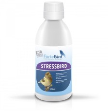 Stressbird Fortebird