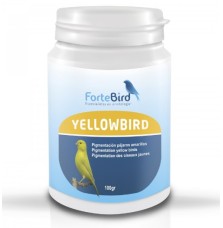 Yellowbird Fortebird