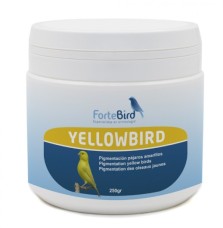 Yellowbird Fortebird