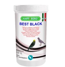 Best Black HappyBird