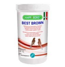 Best Brown HappyBird